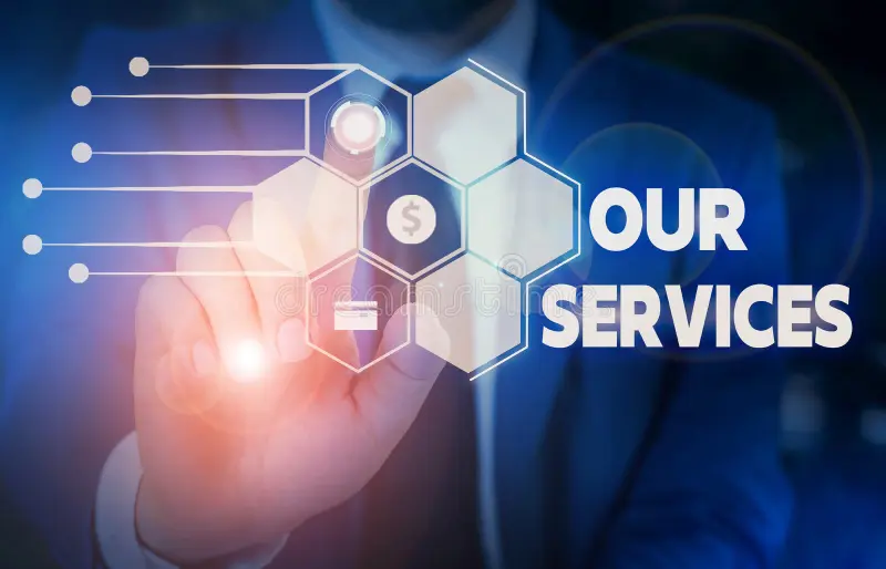 Pest Control Services